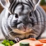 healthy chinchilla treats