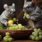 can chinchillas eat grapes