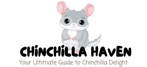 Chinchilla Haven