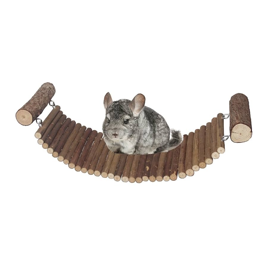 Are Chinchilla Treats With Added Sugar Safe? Essential Insights