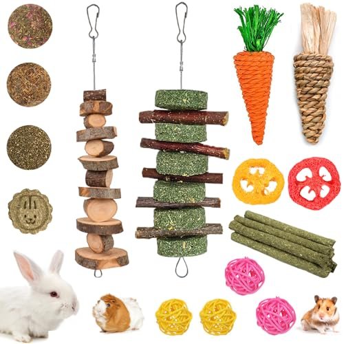 Chinchilla Chew Toys