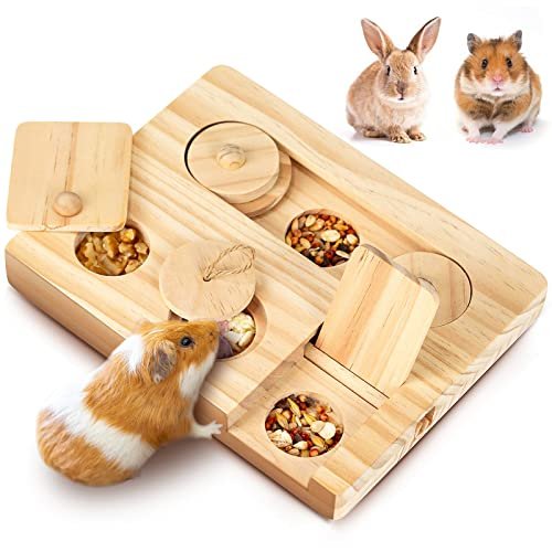 Chinchilla Foraging Toys: Top Picks to Boost Your Pet’s Playtime
