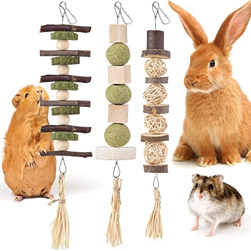 Chinchilla Hanging Toys