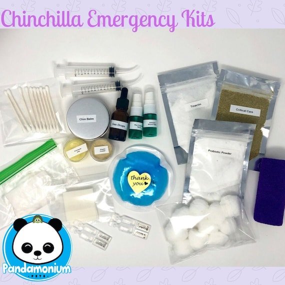 How to Create a Chinchilla Emergency Kit: Essential Must-Haves